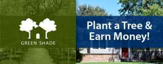 Green Shade Tree Rebate