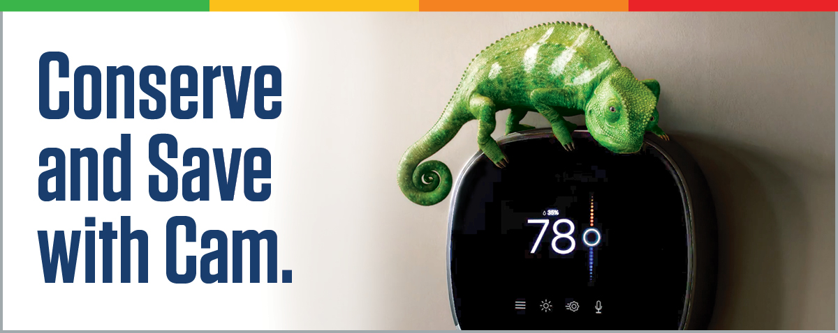 Summer season conserve and save with Cam.