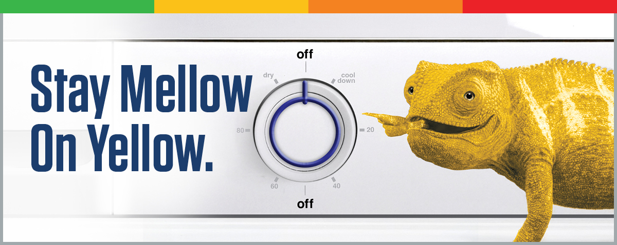 Summer season conserve and save with Cam.